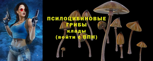 дмт Горно-Алтайск