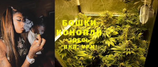 дмт Горно-Алтайск