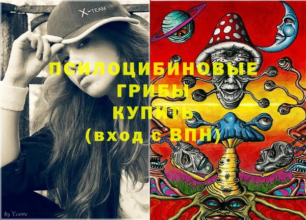 меф Горнозаводск
