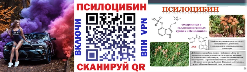 Галлюциногенные грибы ЛСД  Купить закладки  Катайск 