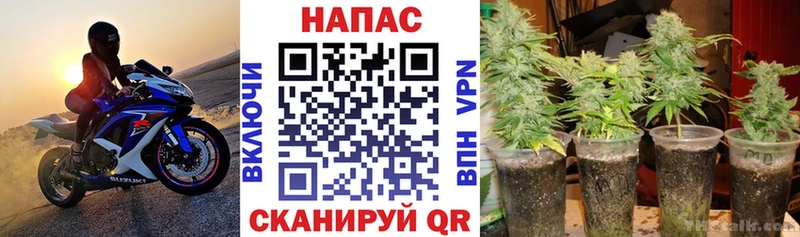 Канабис индика  Купить  Катайск 